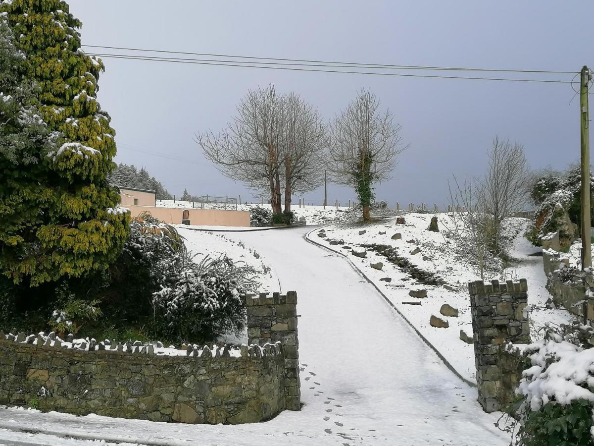 Carlingford Mountain And Sea Views Apartment Exterior foto