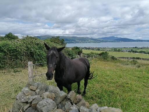 Carlingford Mountain And Sea Views Apartment Exterior foto